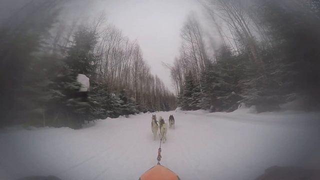 Киров шижма день 1 смотреть онлайн