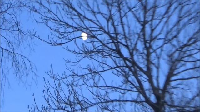 Прогулка на маяк мыса Курмрагс. Ķurmraga bāka. 16.01.2019 смотреть онлайн