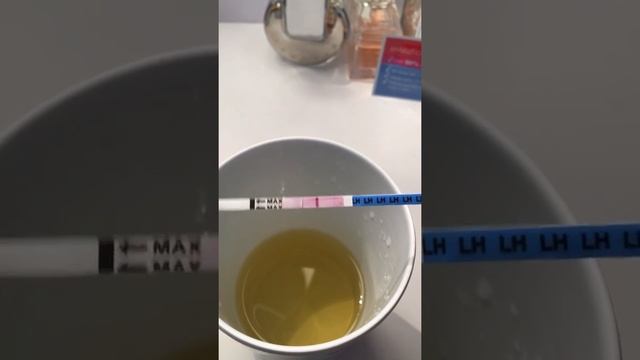 Positive Pegnancy test with Ovulation stick -FirstVue смотреть онлайн