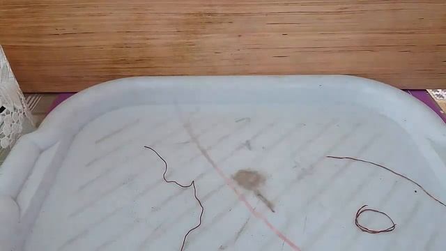 Как вторично использовать проволоку на бонсай смотреть онлайн