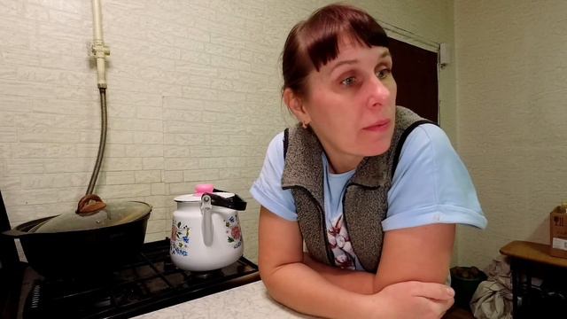 Разобрала кур Сделала Вкусный Шоколадный хлеб и сухариков смотреть онлайн