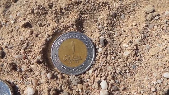 Деньги Египта. Монеты и купюры, январь 2016 смотреть онлайн