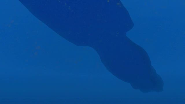 SeaQuest DSV in Silent Hunter IV смотреть онлайн