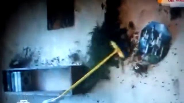 а говорят тараканы вымерли смотреть онлайн