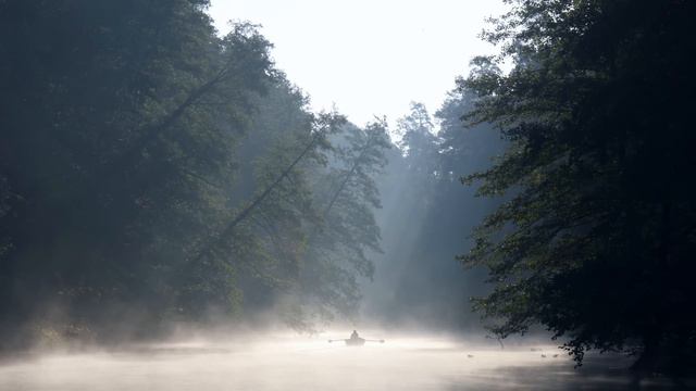 Heavenly Rain 💧 Relaxing Violin and Cello Music 💧 Sounds of Rain смотреть онлайн
