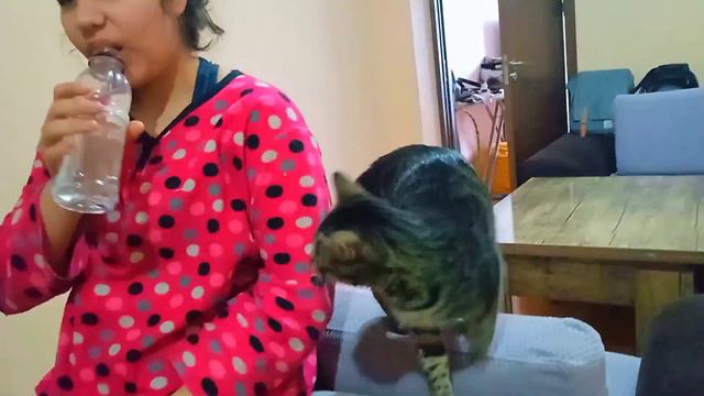 Интересные будни / Снег не заканчивается / Жизнь в Грузии смотреть онлайн