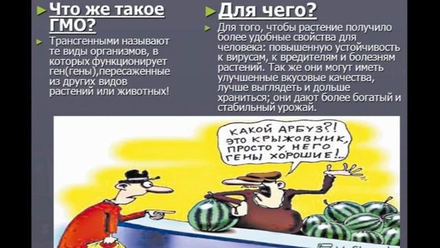 Чем занимаются Гринпис? смотреть онлайн