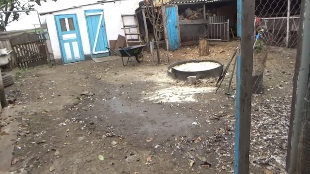 Сегодня у нас два вида борща. Тушёнка из мускусных уток.