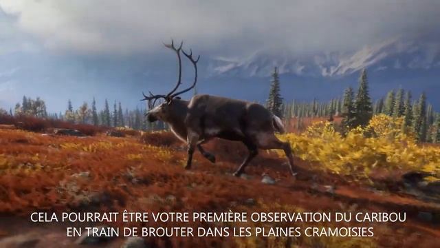 ?NOUVELLE MAP [YUKON VALLEY] The Hunter call of the wild смотреть онлайн