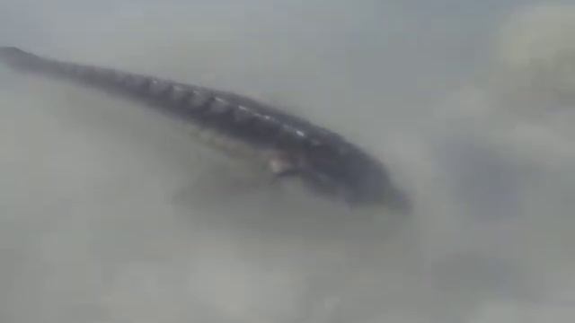 Каспий смотреть онлайн