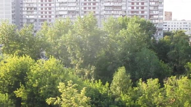 Новый музыкальный лифт ELM-(Queen) 2022 г.в. @ г. Москва, ул. Мнёвники, д. 12-1 (2335) смотреть онлайн