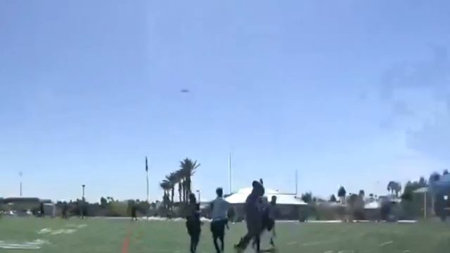 WEEK 3 FLAGSTERS VS COBRAS смотреть онлайн