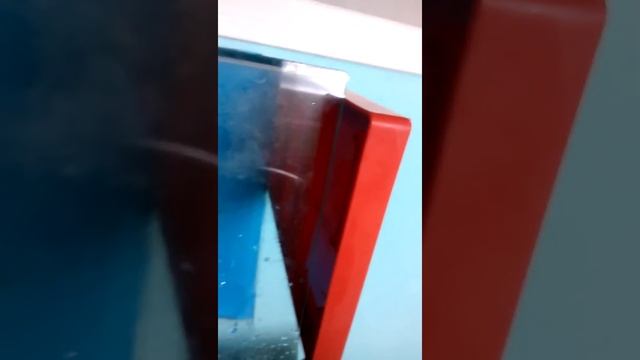 Разные звери. Красноухая черепаха смотреть онлайн