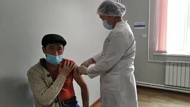 Dardoq 56-OP da nima boldi?