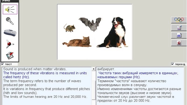 113. Научные тексты. What is Sound смотреть онлайн
