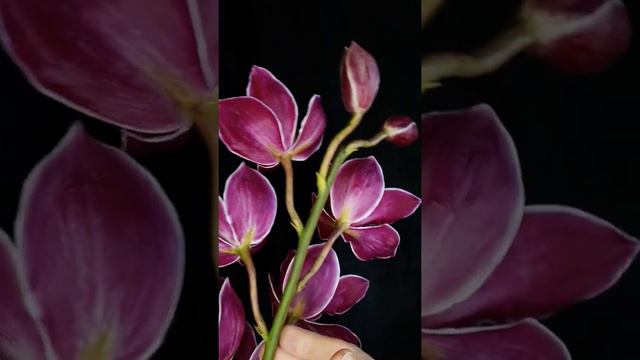 Цимбидиум. Холодный фарфор смотреть онлайн