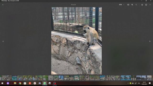 Фото блог я в Новосибирске смотреть онлайн