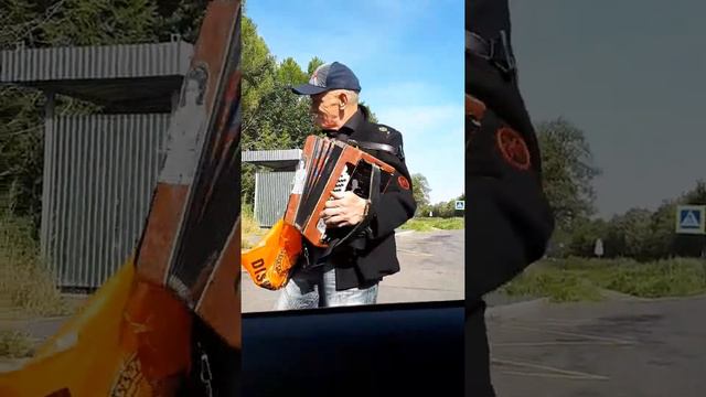 Волхов утро смотреть онлайн