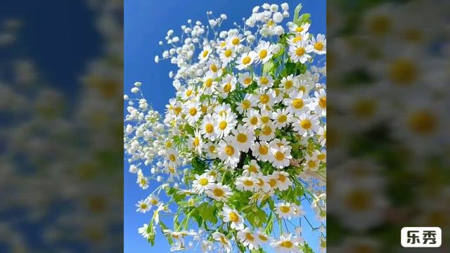 МОЯ РОДНАЯ. Читает автор произведения ЭльХан. 14.11.2020 год. смотреть онлайн