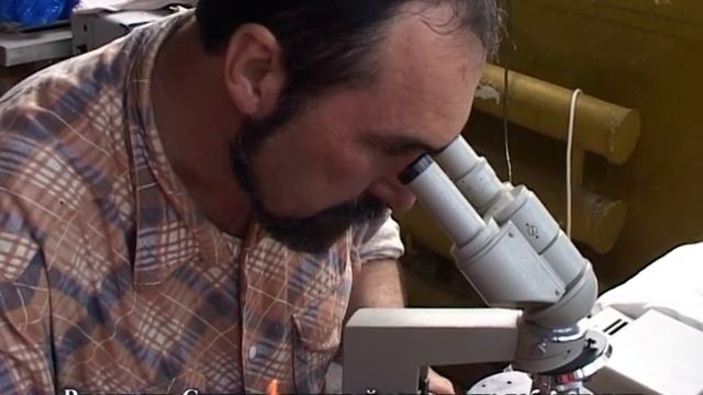 Рыбье царство смотреть онлайн