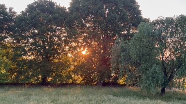 ПОМНЮ, СНИЛИСЬ МНЕ КОГДА-ТО, СНЫ… /христианский стих/ читает автор Анна Юркин смотреть онлайн