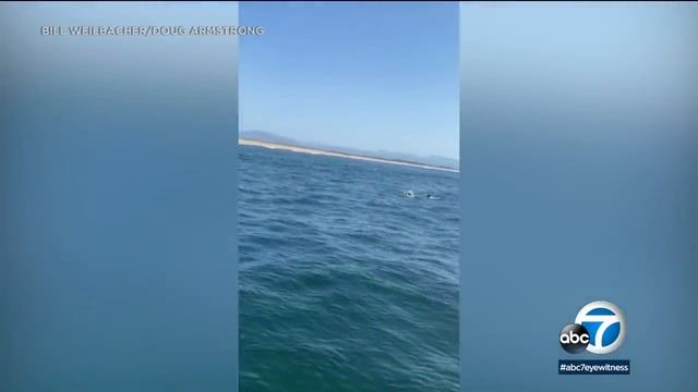 Fishermen rescue 2 teen girls who were swept out to sea in Monterey Bay l ABC7 смотреть онлайн