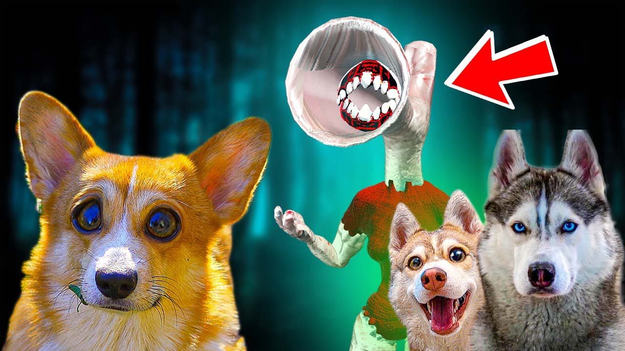 МАТЬ МЕГАФОН ПОХИТИЛА БАНДИТА И БУБЛИКА! ОПЯТЬ! (Корги Коржик) Говорящая собака смотреть онлайн