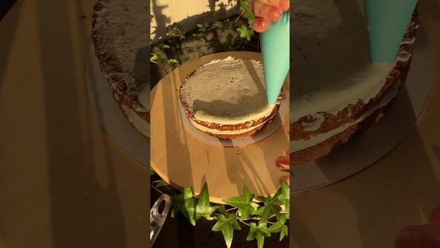 Моя сборка морковного торта, тут сочные морковные бисквиты, кислая вишня и хрустящий орех смотреть онлайн