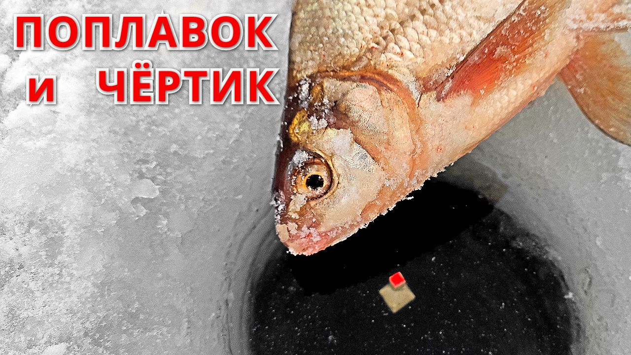 РЫБА пошла КРУПНЕЕ. ПОПЛАВОК и ЧЁРТИК. Рыбалка перед Новым Годом. смотреть онлайн