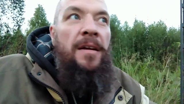 Охота на утку с Лабрадором. Без участия утки)))