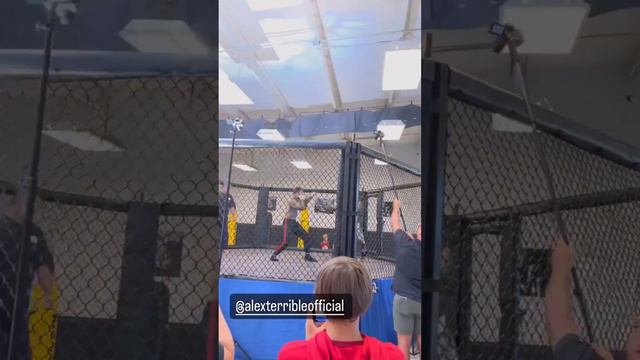 ALEX TERRIBLE Fighting🤜🤛🏆🔥🔥🔥