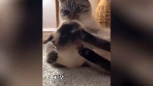 Кто засмеялся тот проиграл челлендж!