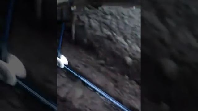 Пленкоукладчик тянет пленку капельную ленту делает дырки и сыпет удобрение смотреть онлайн