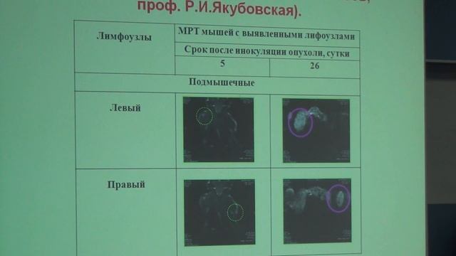Локальная ЯМР спектроскопия в МРТ экспериментах на лабораторных животных смотреть онлайн