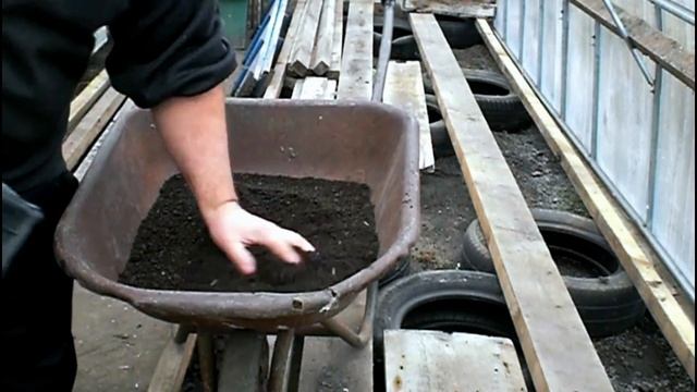 Как посадить лук из семян | Лук эксибишен | лук на перо и репу (эксперимент) смотреть онлайн