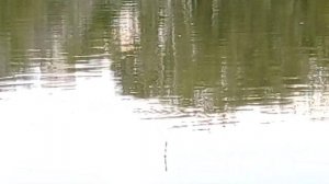 Универсальный поплавок Куликова, с регулировкой чувствительности к поклевке. Опыт Куликова.