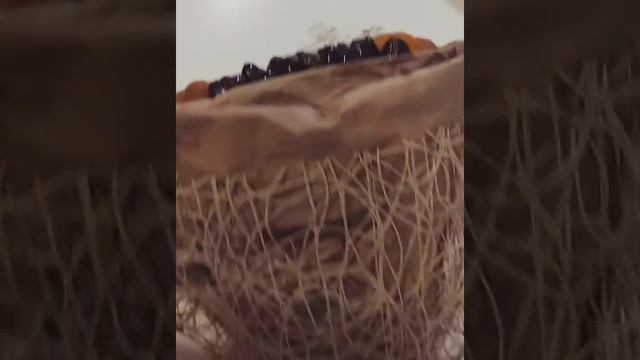 Букет из сухофруктов смотреть онлайн