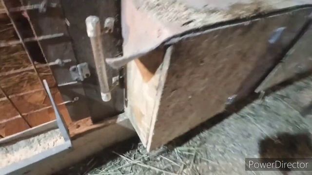 #Содержание кур зимой. Отвечаю на комментарии. ??? смотреть онлайн