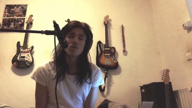 Rammstein - Diamant [Julien Alexander Blank Cover] смотреть онлайн