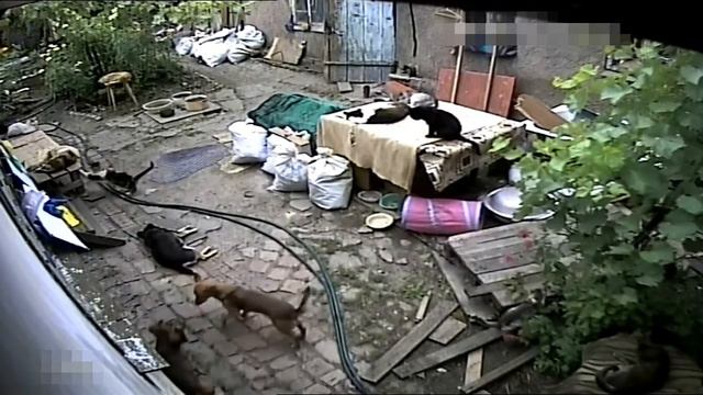 Дело было вечером, делать было нечего. смотреть онлайн