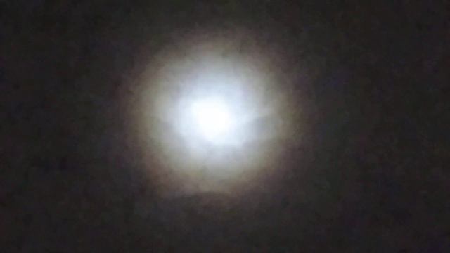 ночной магический прогноз на 7 декабря от волшебника смотреть онлайн