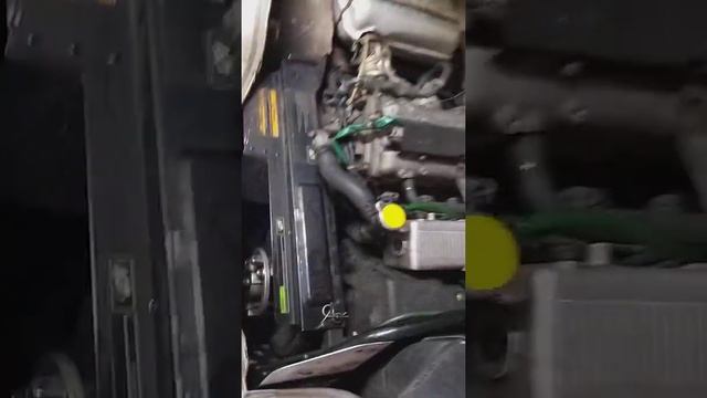 ArcticCat смотреть онлайн