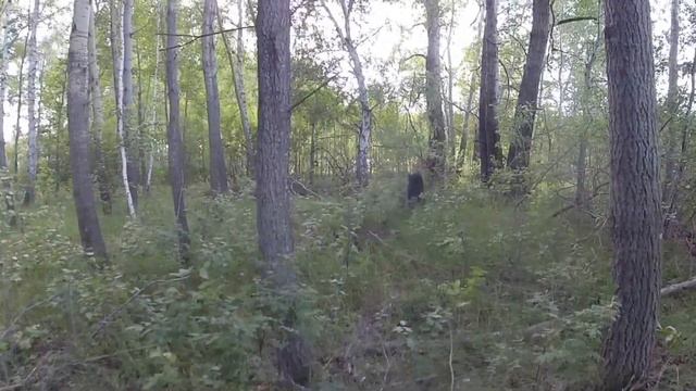 Николаевка деревня в Горьковском районе Омской области ч.2 /Nikolaevka is a village in Omsk region смотреть онлайн
