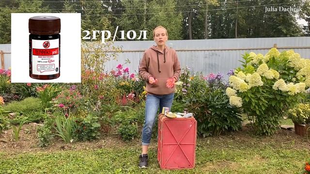 ИЗБАВЛЯЕМСЯ ОТ БЕЛОКРЫЛКИ НАВСЕГДА!!! #белокрылка #вредители #огород #теплица смотреть онлайн