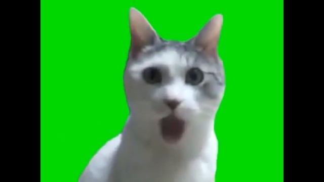 MLG ПАК НА 20 МЕМОВ ДЛЯ МОНТАЖА | Видео мемы для монтажа НА ЗЕЛЕНОМ ФОНЕ скачать футаж | Часть 2 смотреть онлайн