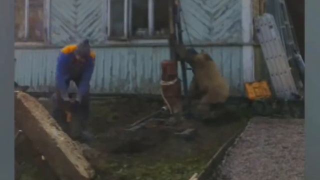 Сборка мгбу смотреть онлайн