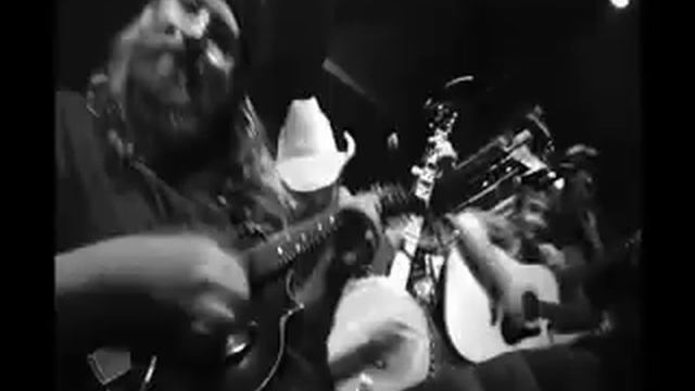 trampled by turtles - silver and gold смотреть онлайн