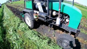 Уборка ботвы и картофеля