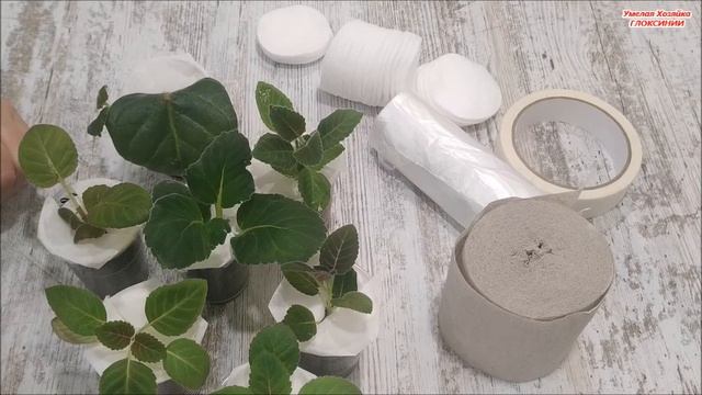 ЖАЛУЮСЬ на НЕРАДИВЫХ заказчиков ? УПАКОВКА и УТЕПЛЕНИЕ ? ДЕТОК и листов ГЛОКСИНИЙ смотреть онлайн