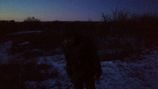 Стихотворение Александра Петрова 